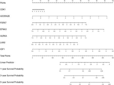 Establishment of A Nomogram for Predicting the Prognosis of Soft Tissue Sarcoma Based on Seven Glycolysis-Related Gene Risk Score